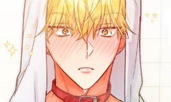 Chapter 22