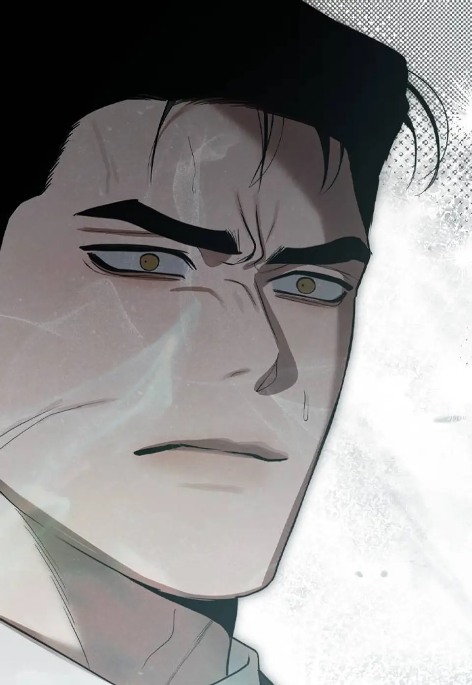 Chapter 50