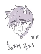 Chapter 17.5