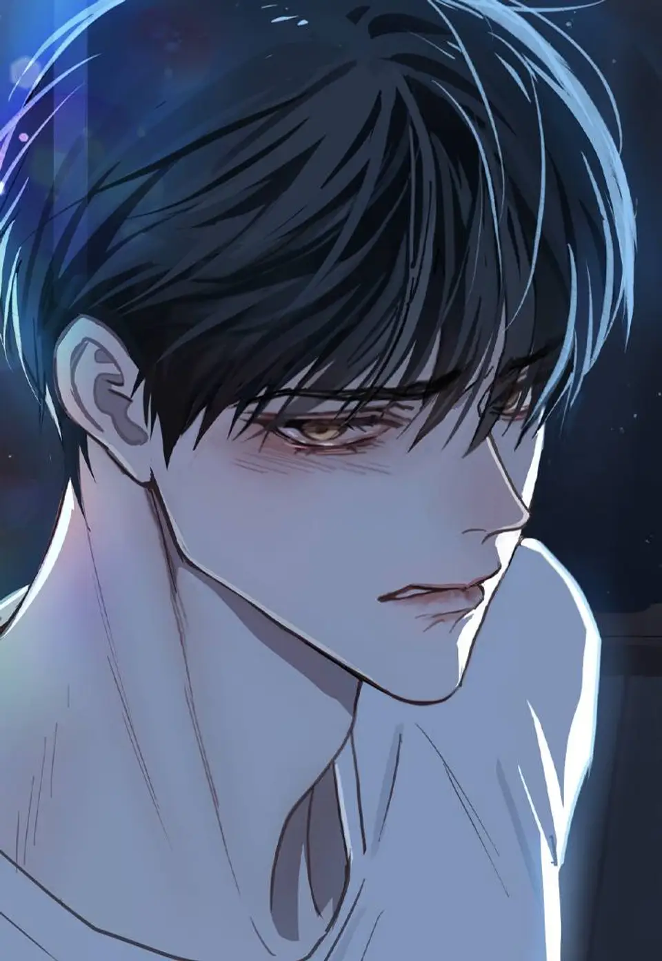 Chapter 15