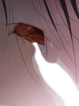Chapter 33