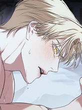 Chapter 13