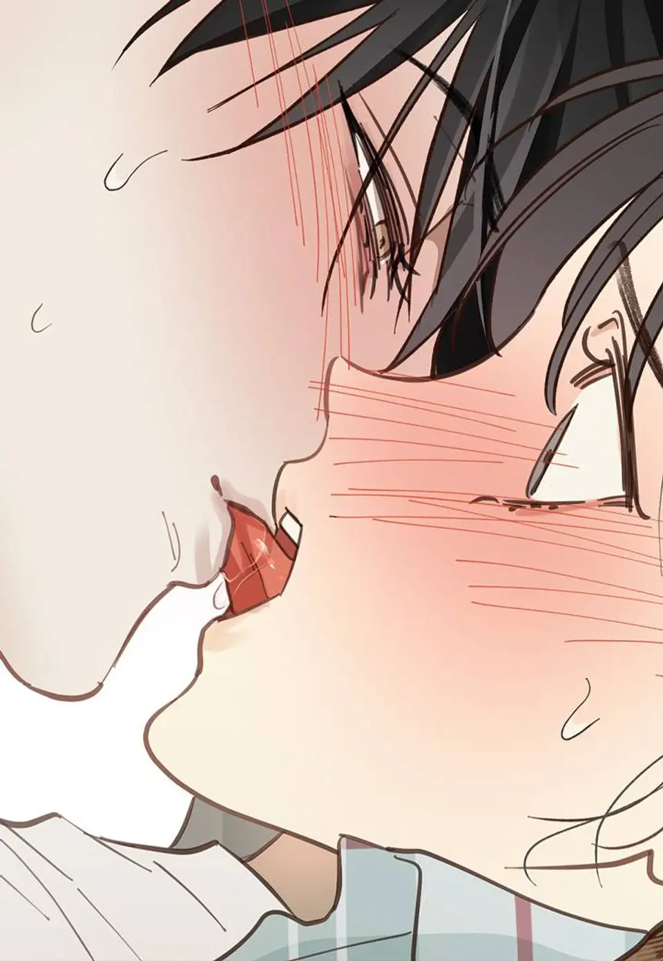 Chapter 19