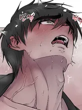 Chapter 15