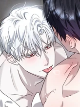 Chapter 11