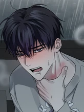 Chapter 15