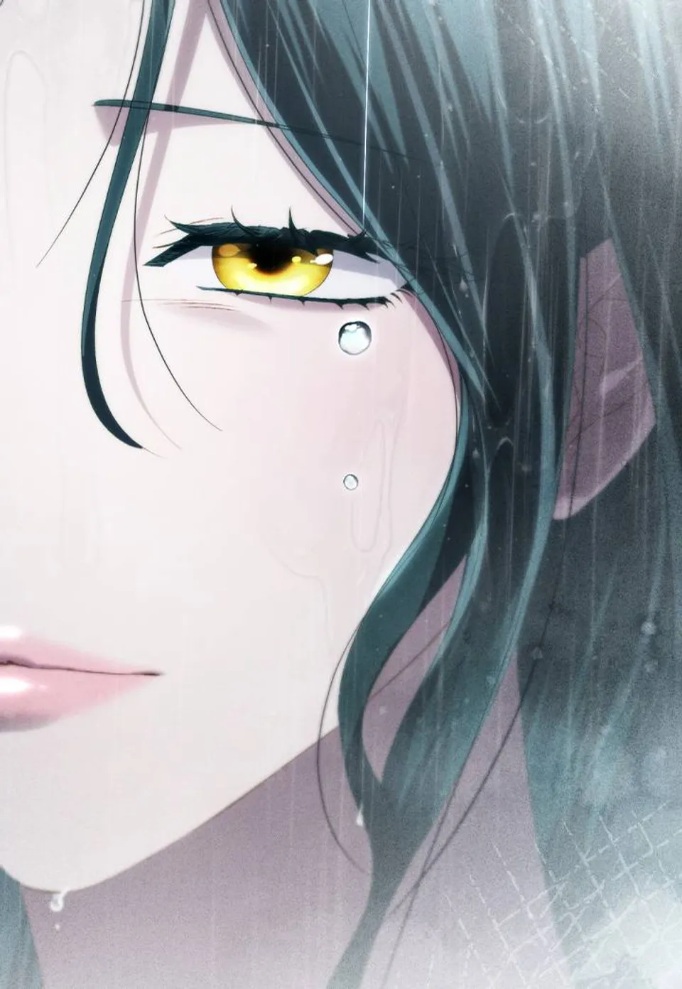 Chapter 85