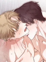 Chapter 41