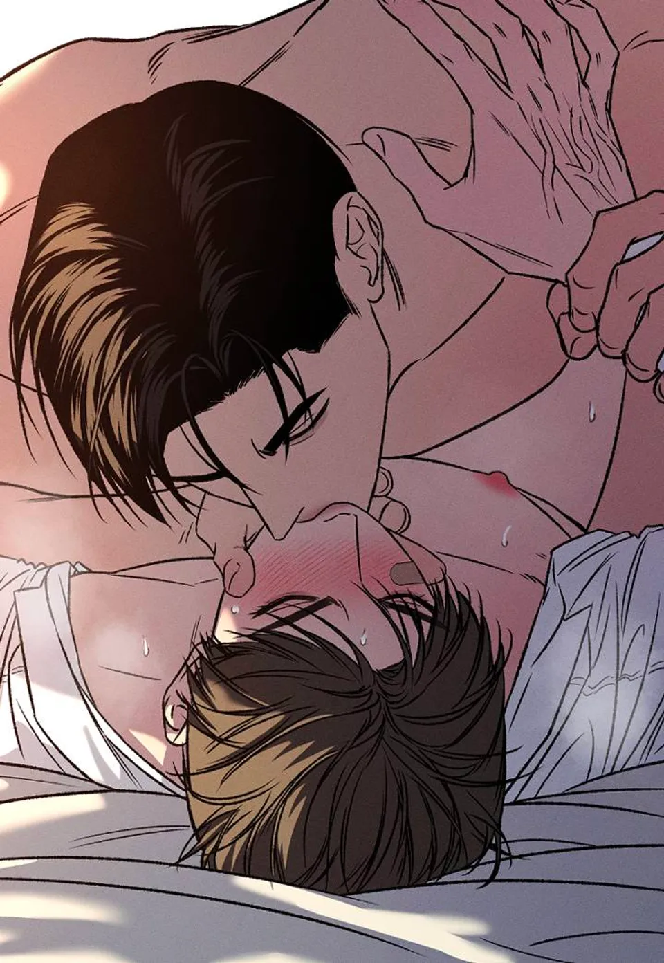 Chapter 29